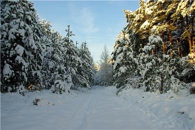 国产奇幻ARPG《觉醒者之崛起》首曝 2023年发售